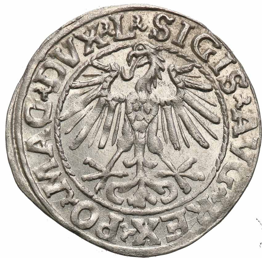 Zygmunt II August. Półgrosz 1548 Wilno